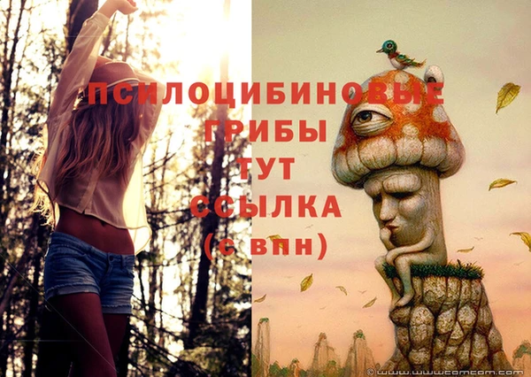 МДМА Сатка