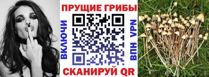 Галлюциногенные грибы Magic Shrooms Улан-Удэ